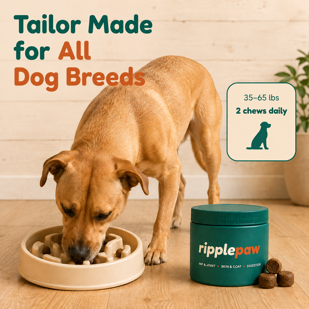 Hip & Joint Chews